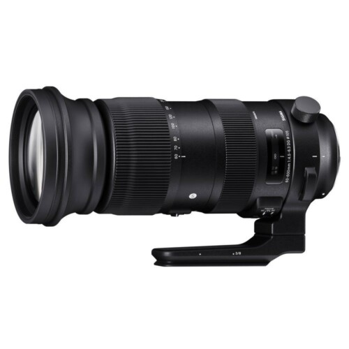Sigma 60-600mm f/4.5-6.3 DG OS HSM Sport (Nikon F)