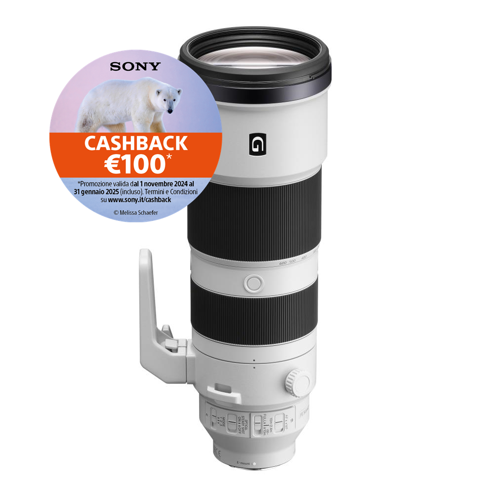 Sony FE 200-600mm f/5.6-6.3 G OSS