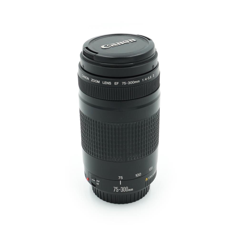 Canon EF 75-300mm f/4-5.6 II