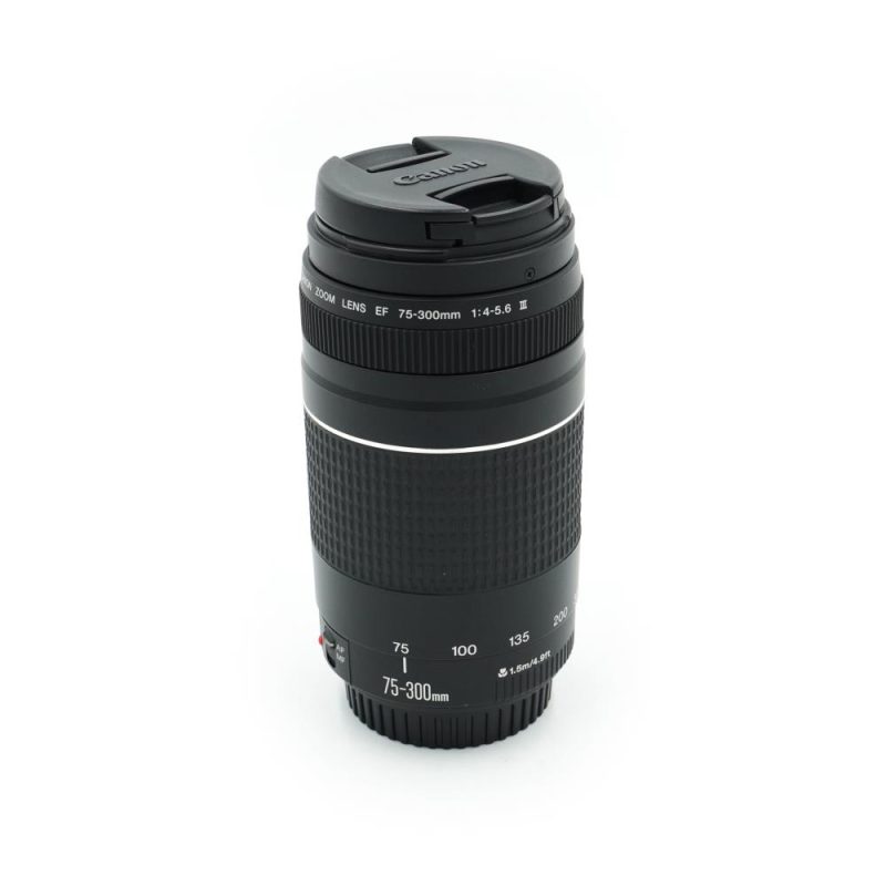 Canon EF 75-300mm f/4-5.6 III