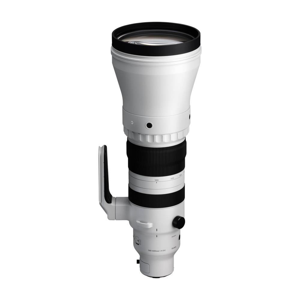 Sigma 300-600mm f/4 DG OS Sport (L-Mount)