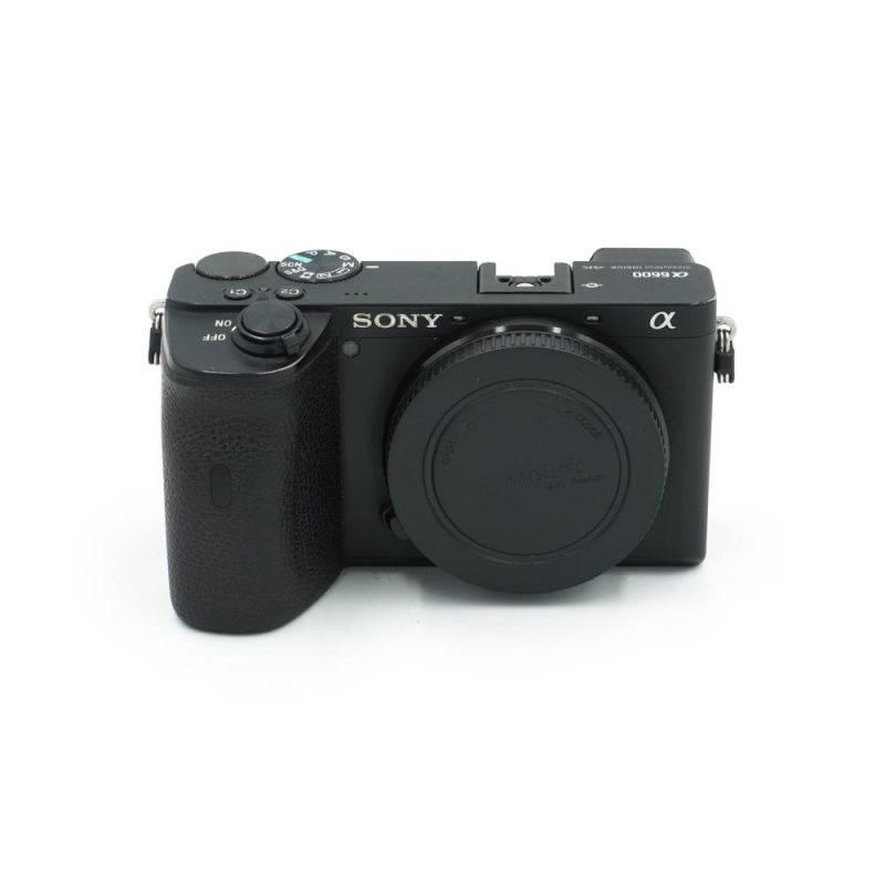 Sony A6600