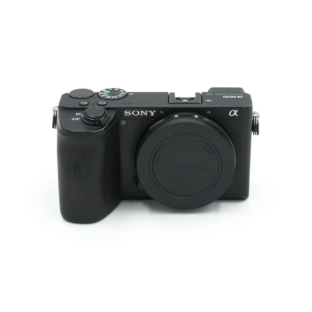 Sony A6600