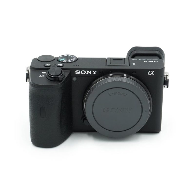 Sony A6600