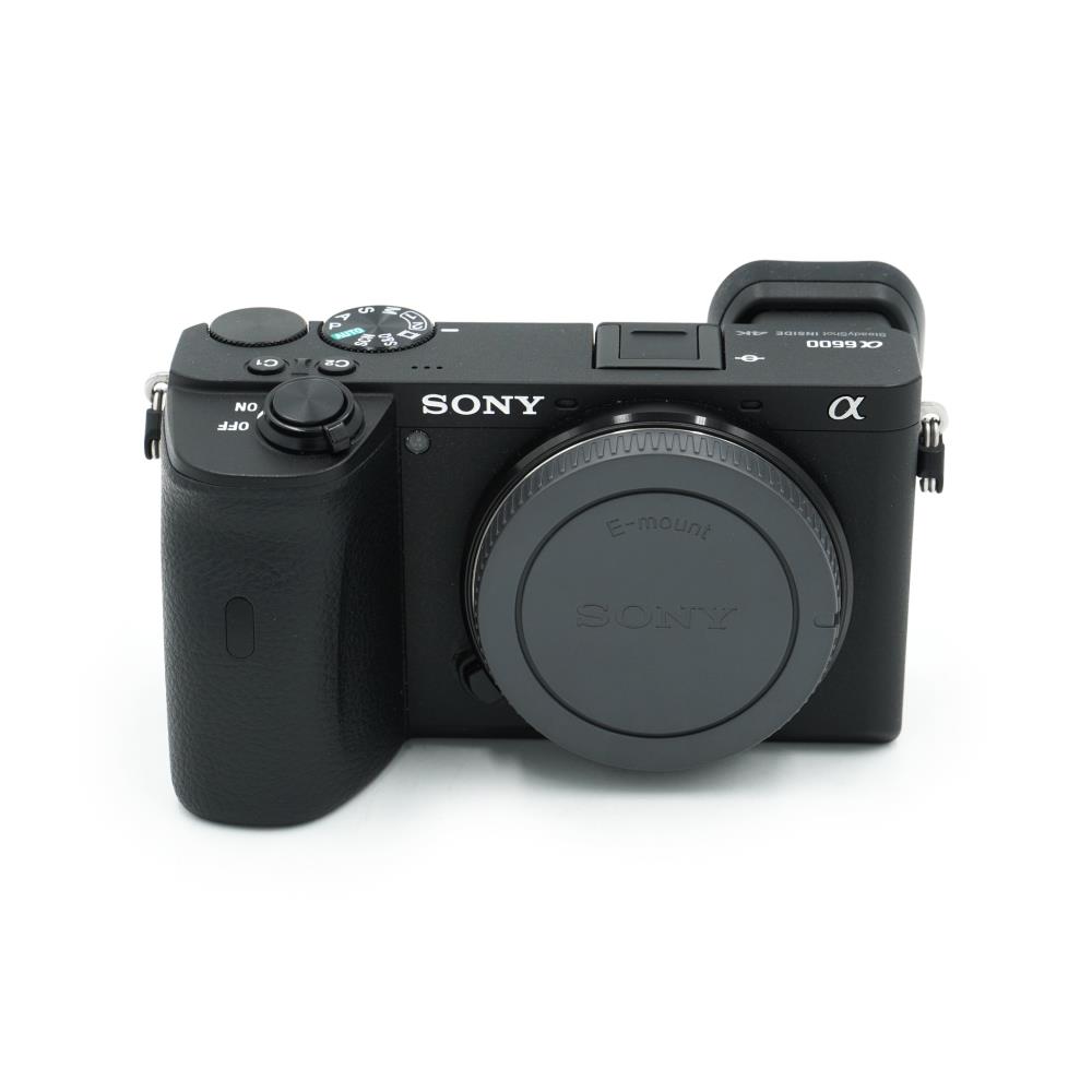 Sony A6600
