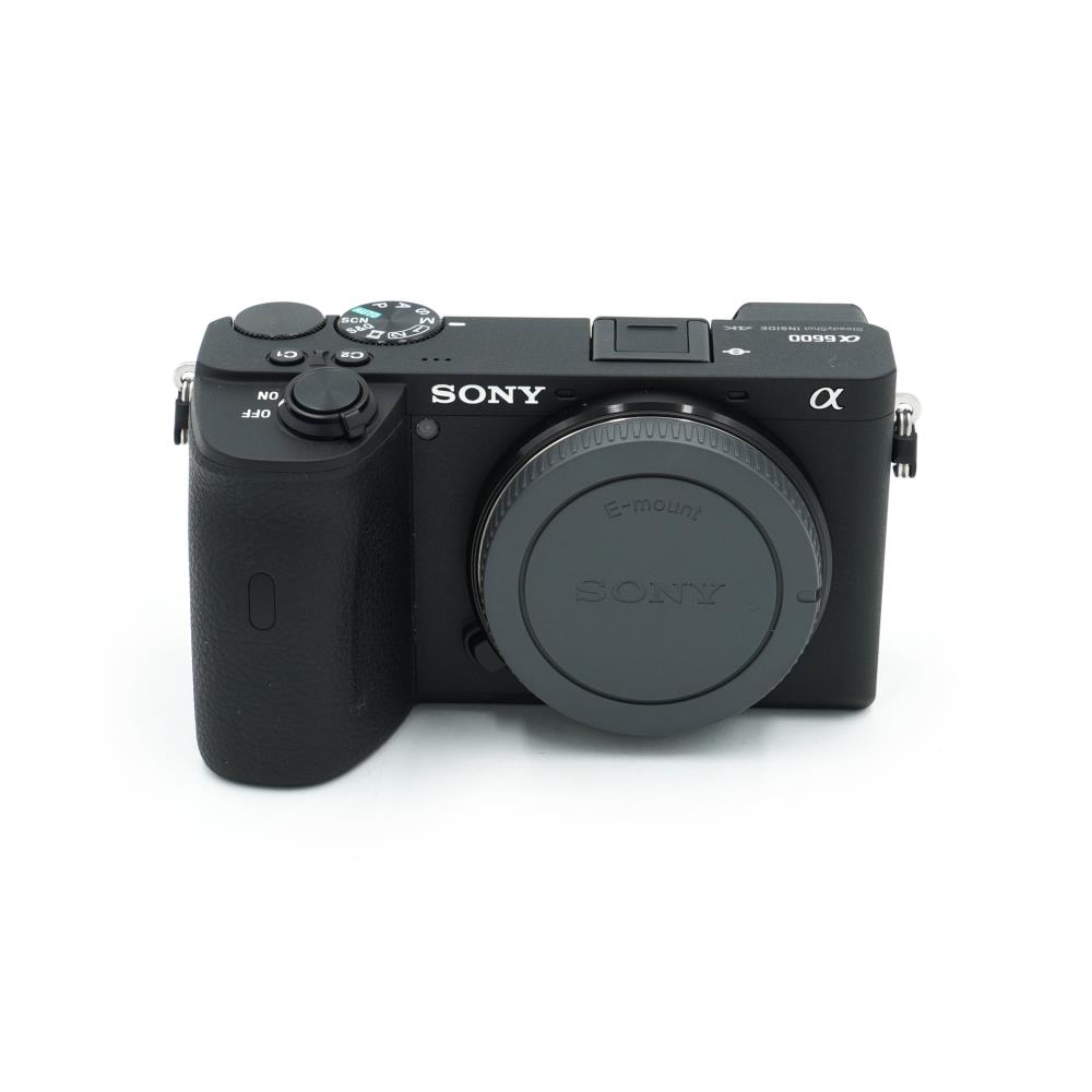 Sony A6600