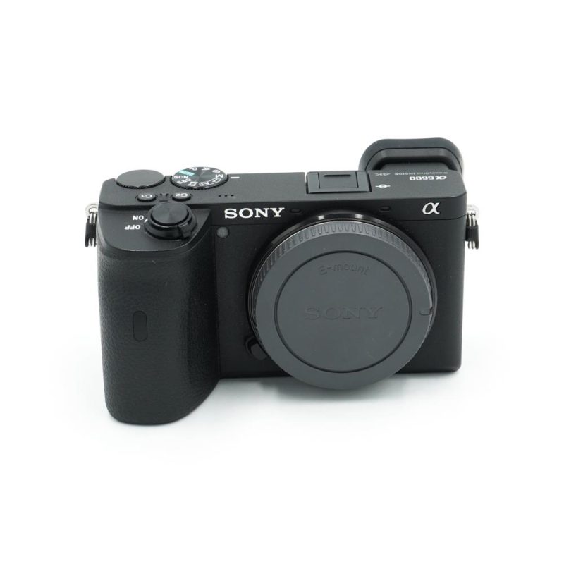 Sony A6600