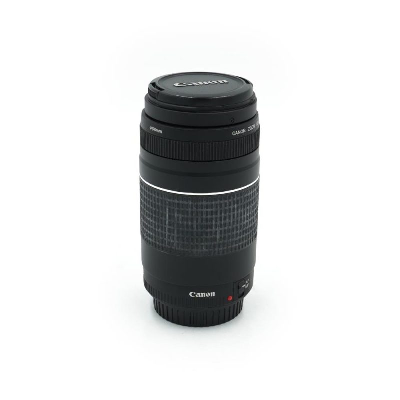 Canon EF 75-300mm f/4-5.6 III