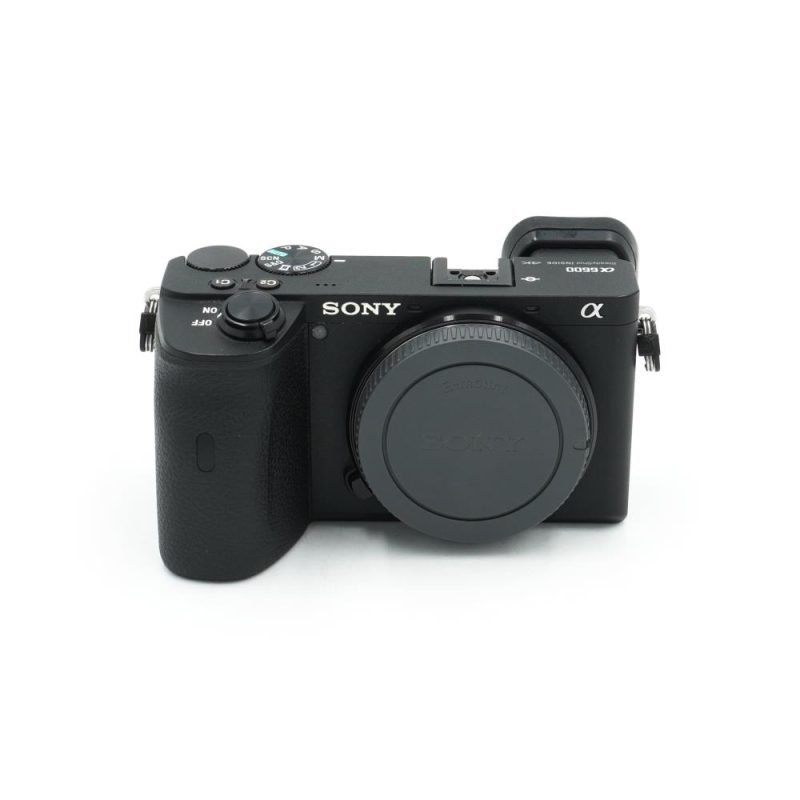 Sony A6600