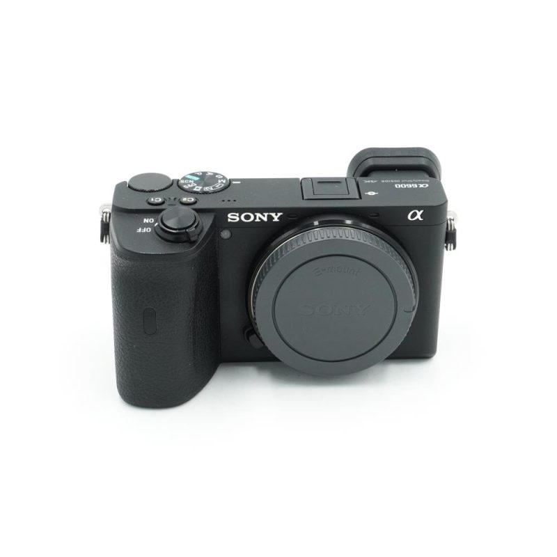 Sony A6600