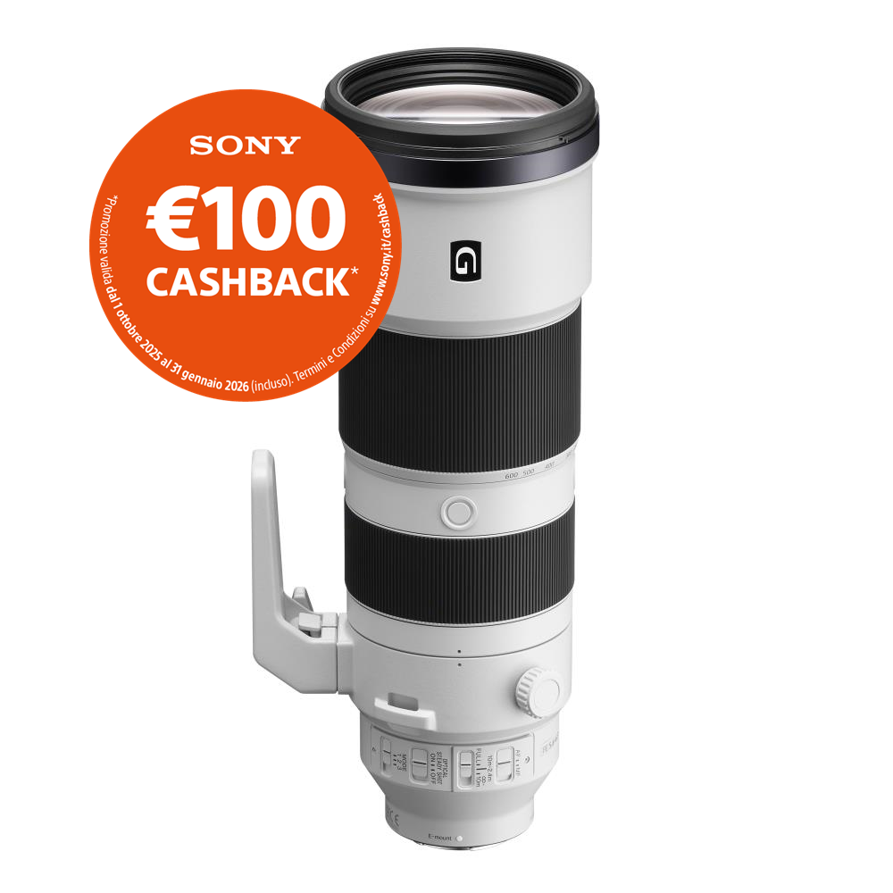 Sony FE 200-600mm f/5.6-6.3 G OSS