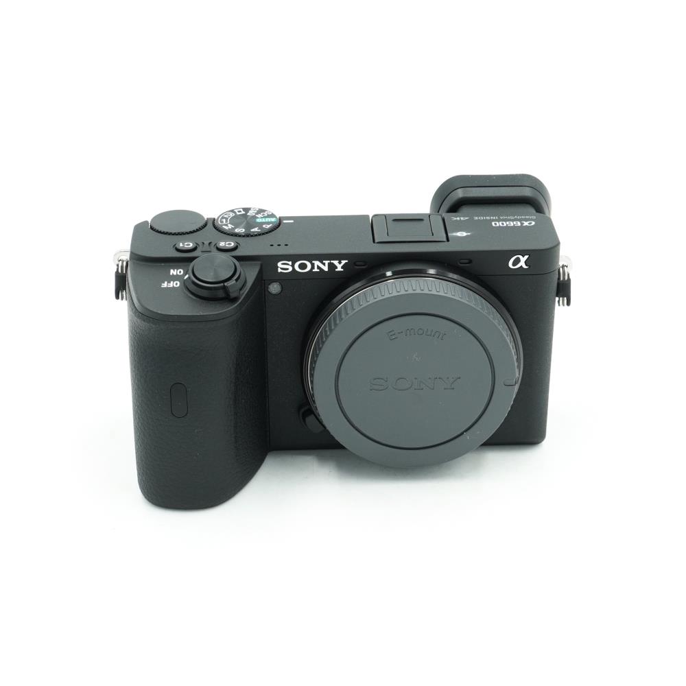 Sony A6600