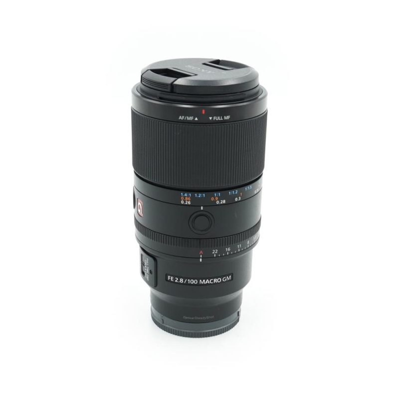 Sony FE 100mm f/2.8 Macro GM OSS