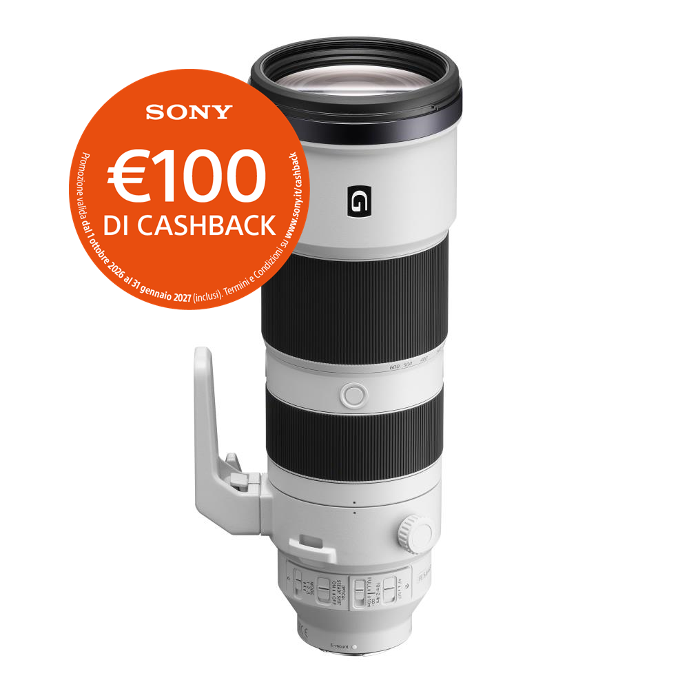 Sony FE 200-600mm f/5.6-6.3 G OSS