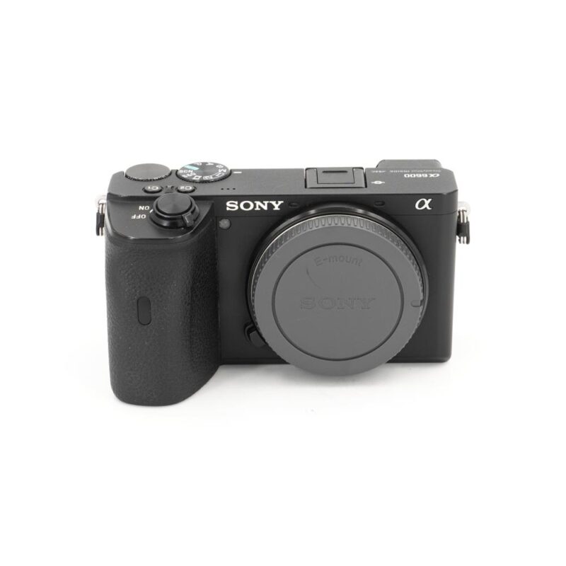 Sony A6600
